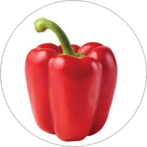 BELL PEPPER