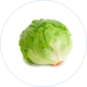 LETTUCE HEAD