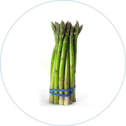 ASPARAGUS