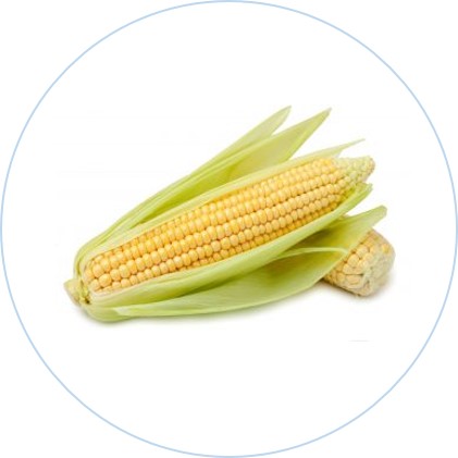 CORN 3PK