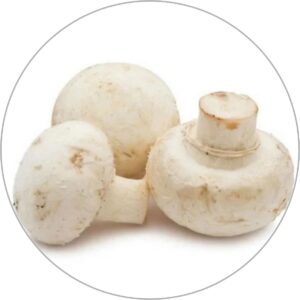 MUSHROOMS