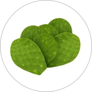 NOPALES
