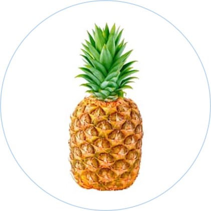 PINEAPPLE