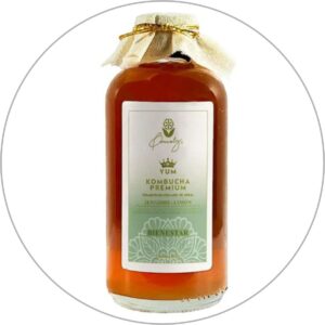 KOMBUCHA PREMIUM 295ML